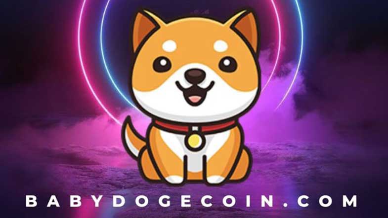 ارز baby doge